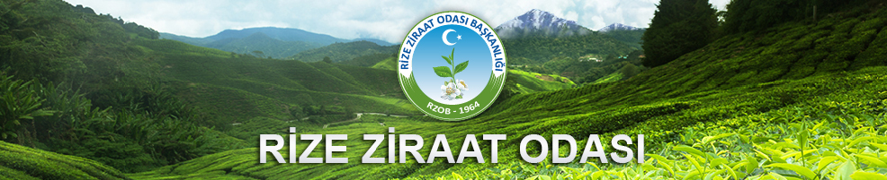 Doğu Karadeniz 2. Organik Tarım Kongresi